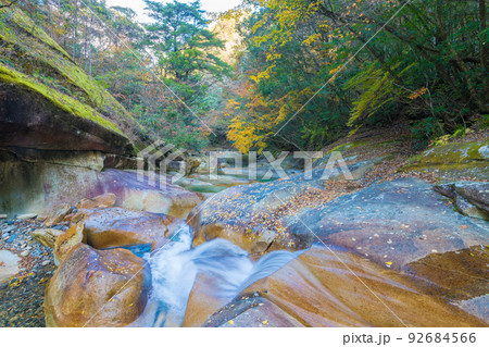 藤河内渓谷の紅葉（大分県佐伯市） 92684566