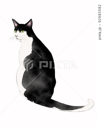 Aru Sohdaroh☆白黒ハチワレちゃんのお座り姿 Aru Sohdaroh様専用☆白黒ハチワレちゃんのお座り姿 あっくんさん