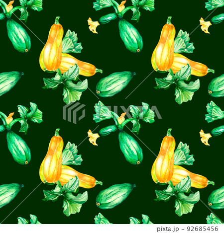 Variety of zucchini plants watercolor illustration seamless pattern Variety of zucchini plants watercolor illustration seamless pattern 92685456