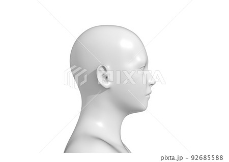 男性の体, 頭部, 3D 男性の体, 頭部, 3D 92685588