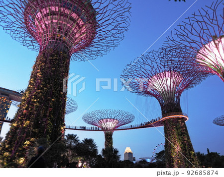 シンガポール スパーツリーライトアップ シンガポール スパーツリーライトアップ 92685874