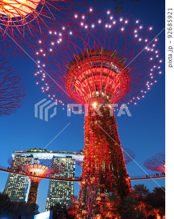 シンガポール　スパーツリーライトアップ 92685921