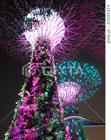 シンガポール スパーツリーライトアップ シンガポール スパーツリーライトアップ 92685924