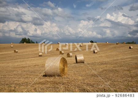 麦ロールの大地 92686483