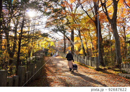 女性一人旅紅葉狩り紅葉の落ち葉の森を歩く後ろ姿 92687622