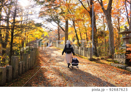 女性一人旅紅葉狩り紅葉の落ち葉の森を歩く後ろ姿 92687623