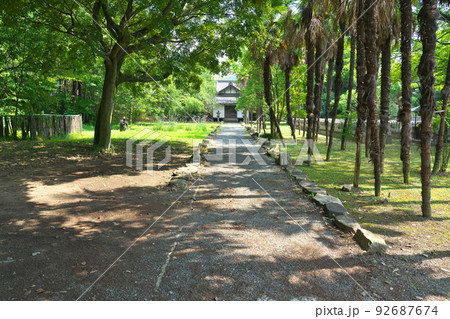 五流尊瀧院　木漏れ日の五流大仙智明大権現の裏参道　岡山県倉敷市 92687674