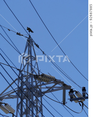電線、高圧鉄塔の鳥よけ鳥 電線、高圧鉄塔の鳥よけ鳥 92687885
