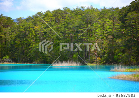 五色沼の春の風景 92687983