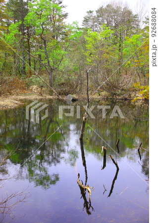 五色沼の春の風景 92688084