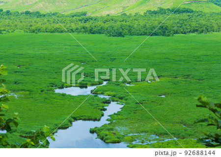 コッタロ湿原展望台から夏の釧路湿原の全景 92688144