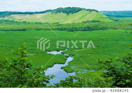 コッタロ湿原展望台から夏の釧路湿原の全景 92688145