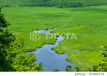 コッタロ湿原展望台から夏の釧路湿原の全景 コッタロ湿原展望台から夏の釧路湿原の全景 92688148