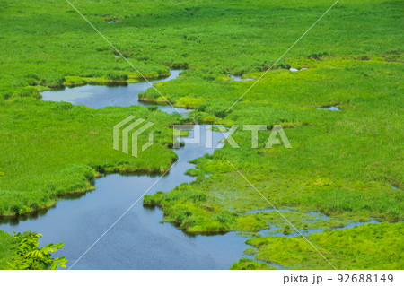 コッタロ湿原展望台から夏の釧路湿原の全景 コッタロ湿原展望台から夏の釧路湿原の全景 92688149