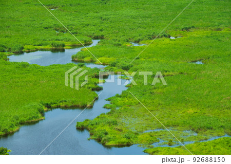コッタロ湿原展望台から夏の釧路湿原の全景 92688150
