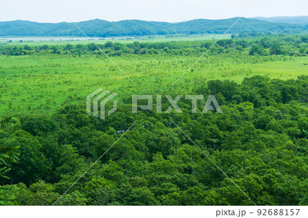 コッタロ湿原展望台から夏の釧路湿原の全景 コッタロ湿原展望台から夏の釧路湿原の全景 92688157