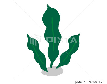 かわいい海藻のこんぶ/手描きイラスト素材 かわいい海藻のこんぶ/手描きイラスト素材 92688179