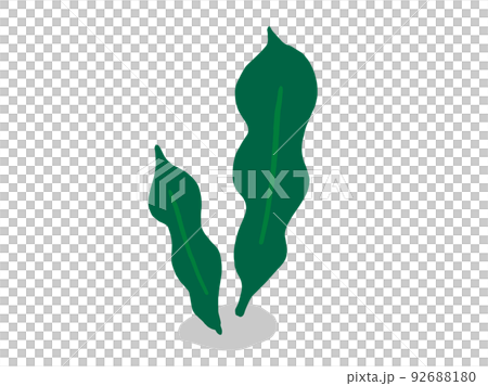 Cute seaweed konbu / hand-drawn illustration material 92688180