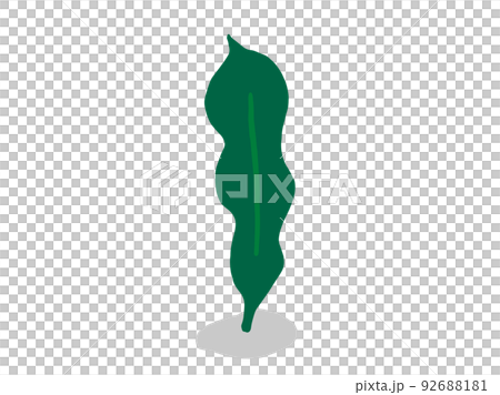 かわいい海藻のこんぶ/手描きイラスト素材 かわいい海藻のこんぶ/手描きイラスト素材 92688181