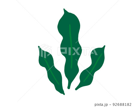 かわいい海藻のこんぶ/手描きイラスト素材 かわいい海藻のこんぶ/手描きイラスト素材 92688182