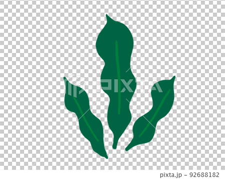 かわいい海藻のこんぶ/手描きイラスト素材 かわいい海藻のこんぶ/手描きイラスト素材 92688182