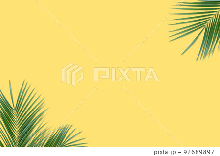 green palm leaves on a yellow background green palm leaves on a yellow background 92689897
