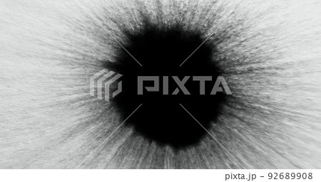 Black ink spatter. Dye stain blob. Frayed edge texture overlay. Liquid paint splash on white uneven paper abstract background with defocused motion blur. 92689908