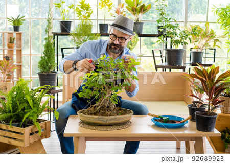 An elderly man handsome with have mustache wearing glasses is happy with tree care. is a hobby of gardening at home, living happily after retirement. Concepts nature and environment 92689923
