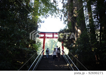 箱根神社の鳥居2 92690271
