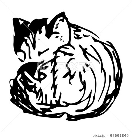 A sleeping cat curled up in a ball. 92691846