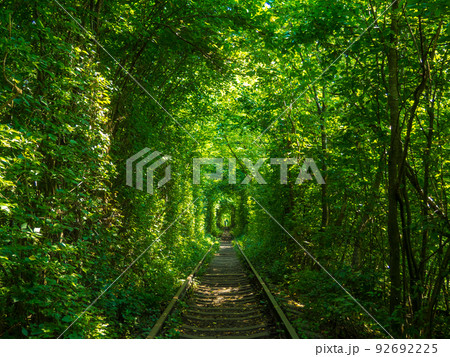 Scenic railway in the summer forest. Tunnel of love in Klevan, Ukraine Scenic railway in the summer forest. Tunnel of love in Klevan, Ukraine 92692225