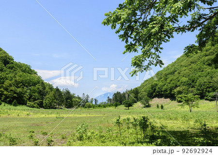 北海道　洞爺湖　中島を散策 92692924