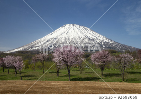 早春の羊蹄山 早春の羊蹄山 92693069