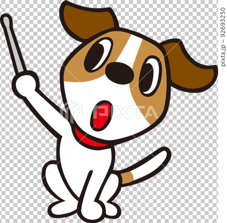 Jack Russell Terrier dog explanation pose with a pointing stick 92693250