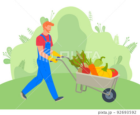 Farmer Using Carriage to Transport Vegetables 92693592
