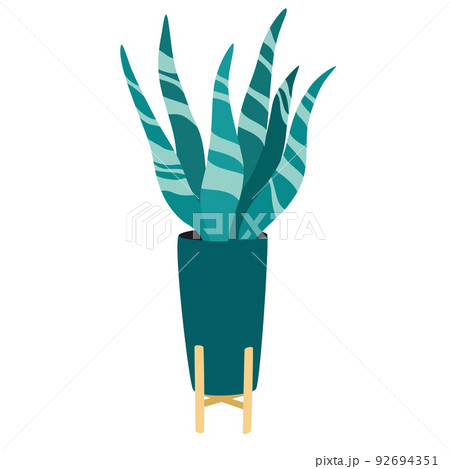 Potted house plant. Foliage houseplant growing in flowerpot. Green leaf decoration for home interior. Natural indoor decor. Hand draw vector illustration isolated on white background 92694351