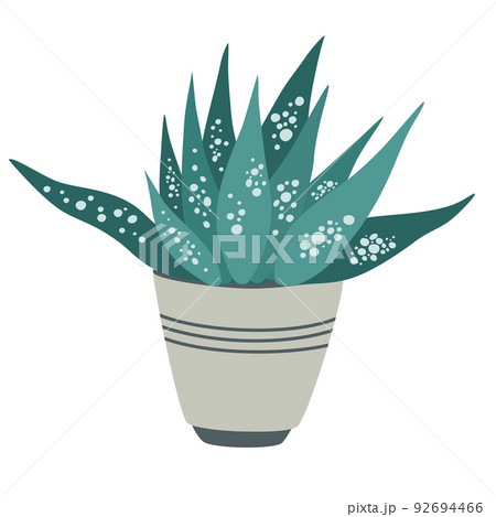 Potted house plant. Foliage houseplant growing in flowerpot. Green leaf decoration for home interior. Natural indoor decor. Hand draw vector illustration isolated on white background Potted house plant. Foliage houseplant growing in flowerpot. Green leaf decoration for home interior. Natural indoor decor. Hand draw vector illustration isolated on white background 92694466