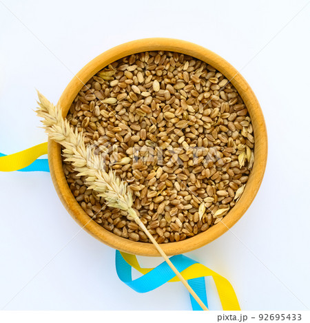 Wheat spikelets and ribbons in colors of Ukrainian flag on light background 92695433