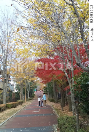 紅葉する遊歩道 紅葉する遊歩道 92695512