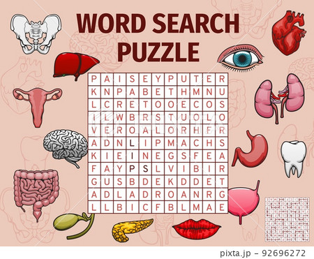 Human organs, body parts word search puzzle game worksheet, vector quiz. Medical riddle grid to search and find words of body anatomy, heart and lungs, eye and lips, spine and tooth with pancreas Human organs, body parts word search puzzle game worksheet, vector quiz. Medical riddle grid to search and find words of body anatomy, heart and lungs, eye and lips, spine and tooth with pancreas 92696272