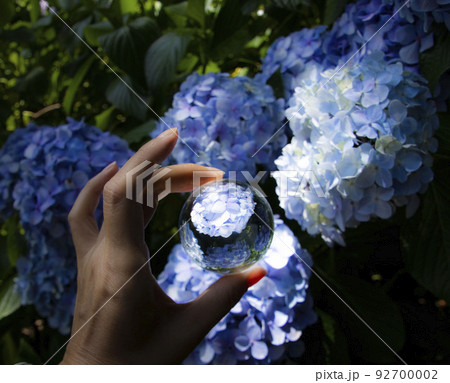 長尾山妙楽寺 長尾山妙楽寺 92700002