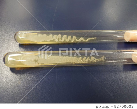 天然酵母を保存試験管 天然酵母を保存試験管 92700005