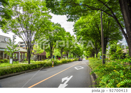 《愛知県》名古屋都市風景　ナゴヤセントラルガーデン 92700413