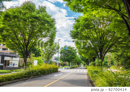 《愛知県》名古屋都市風景 ナゴヤセントラルガーデン 《愛知県》名古屋都市風景 ナゴヤセントラルガーデン 92700414