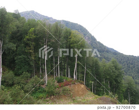 A panorama mountain landscape with valleys and forest mountain peaks under an overcast and cloudy sky 92700870
