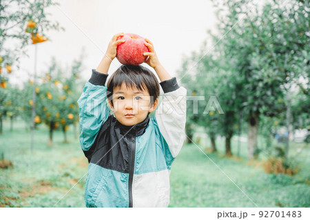 大きなりんごを頭に乗せている子ども 大きなりんごを頭に乗せている子ども 92701483