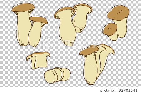 King oyster mushroom hand-drawn style 92701541