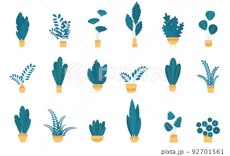 Set house plants and flowers in ceramic pots. Set house plants and flowers in ceramic pots. 92701561