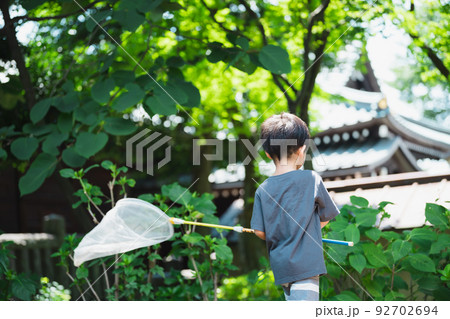 公園で虫取りをする子供 公園で虫取りをする子供 92702694