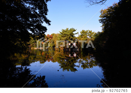 石神井公園の紅葉 石神井公園の紅葉 92702765